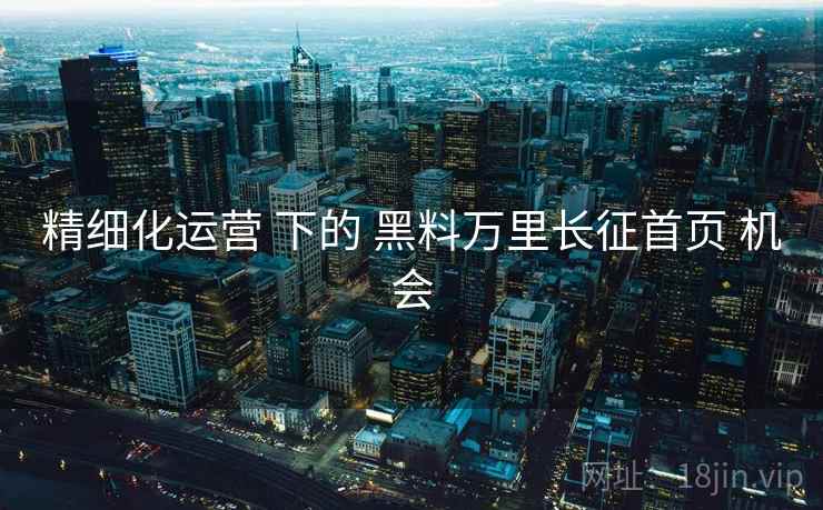 精细化运营 下的 黑料万里长征首页 机会  第1张