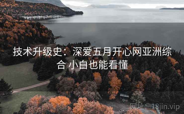 技术升级史:深爱五月开心网亚洲综合 小白也能看懂 第1张 技术升级史:深爱五月开心网亚洲综合 小白也能看懂 第1张