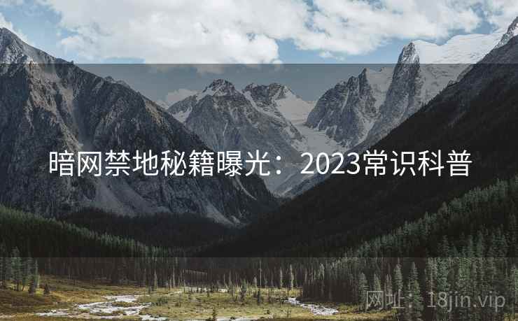 暗网禁地秘籍曝光:2023常识科普 第2张 暗网禁地秘籍曝光:2023常识科普 第2张