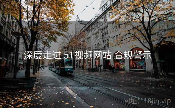 深度走进 51视频网站 合规警示 第1张 深度走进 51视频网站 合规警示 第1张