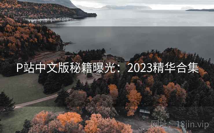 P站中文版秘籍曝光:2023精华合集 第2张 P站中文版秘籍曝光:2023精华合集 第2张