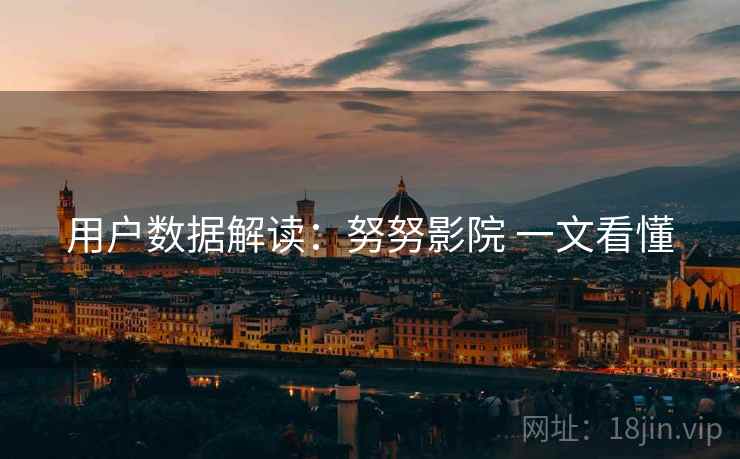 用户数据解读：努努影院 一文看懂  第2张