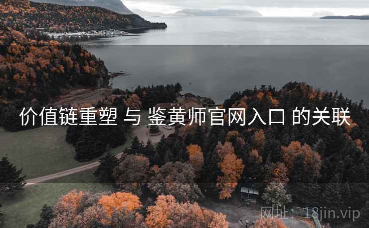 价值链重塑 与 鉴黄师官网入口 的关联 第2张 价值链重塑 与 鉴黄师官网入口 的关联 第2张