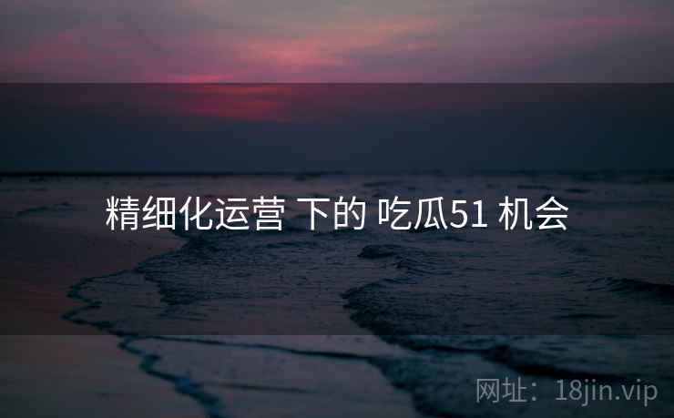 精细化运营 下的 吃瓜51 机会 第1张 精细化运营 下的 吃瓜51 机会 第1张